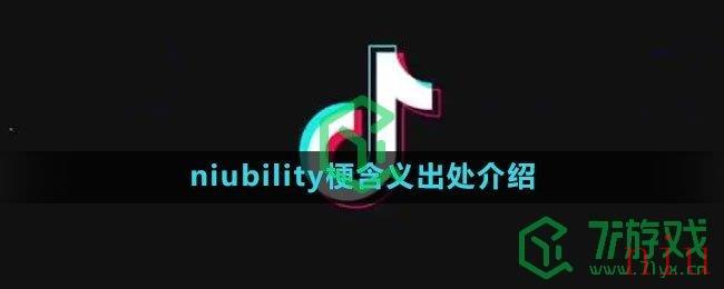 《抖音》niubility梗含义出处介绍