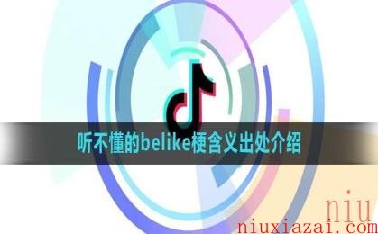 《抖音》听不懂的belike梗含义出处介绍