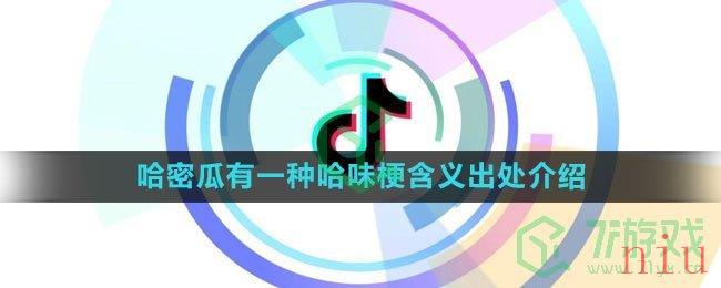 《抖音》哈密瓜有一种哈味梗含义出处介绍