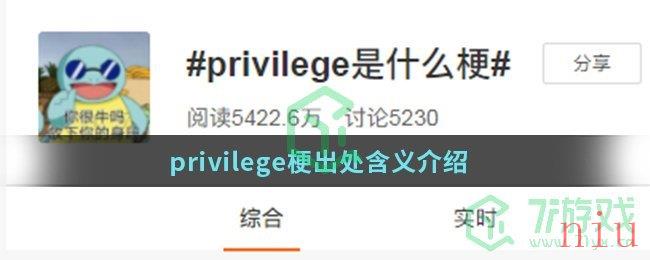 privilege梗出处含义介绍