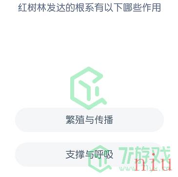 红树林发达的根系有以下哪些作用