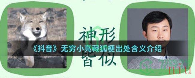 《抖音》无穷小亮藏狐梗出处含义介绍