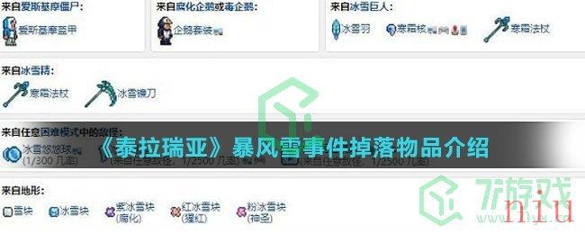 《泰拉瑞亚》暴风雪事件掉落物品介绍