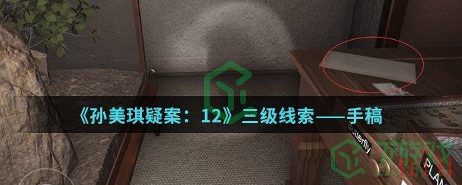 《孙美琪疑案：12》三级线索——手稿