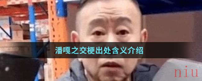 潘嘎之交梗出处含义介绍