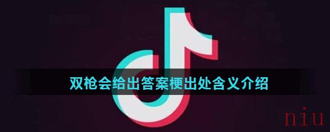 双枪会给出答案梗出处含义介绍