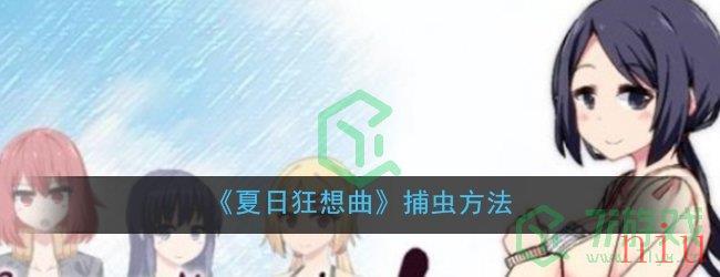 《夏日狂想曲》捕虫方法