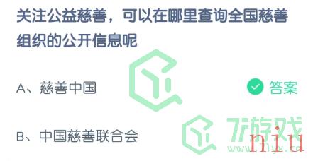 关注公益慈善，可以在哪里查询全国慈善组织的公开信息呢