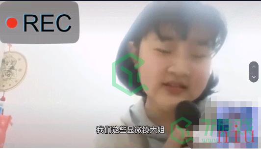 niang不niang梗出处含义介绍