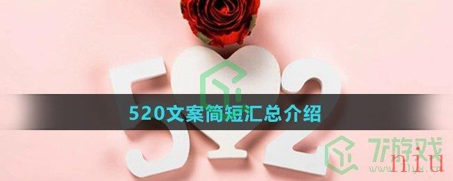 520文案简短汇总介绍