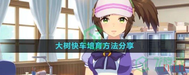 《闪耀优俊少女》大树快车养成攻略