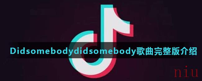 《抖音》Didsomebodydidsomebody歌曲完整版介绍