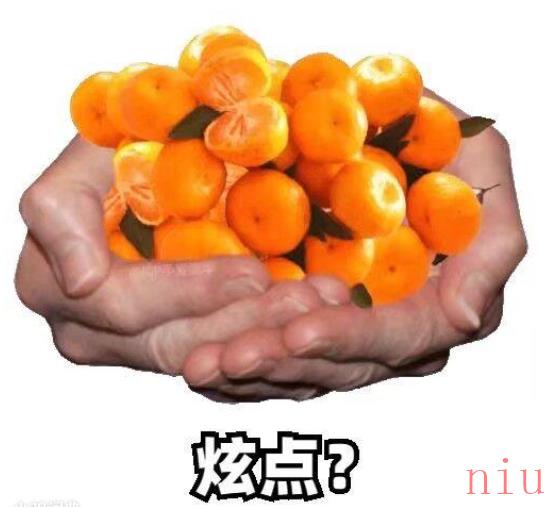 炫梗出处含义介绍