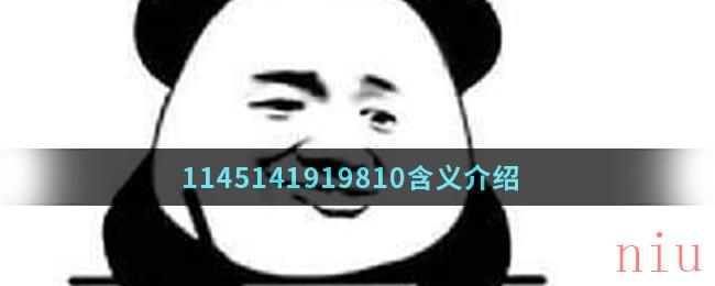 1145141919810含义介绍