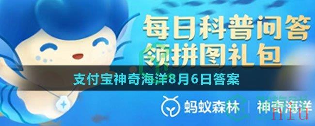 海藻有“根”这一组织结构么