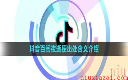 《抖音》百闺夜逝梗出处含义介绍