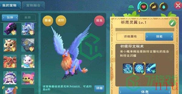 《创造与魔法》新融合战宠祈愿灵翼资质说明分享