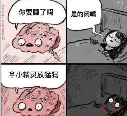 为什么不ban猛犸梗出处含义介绍