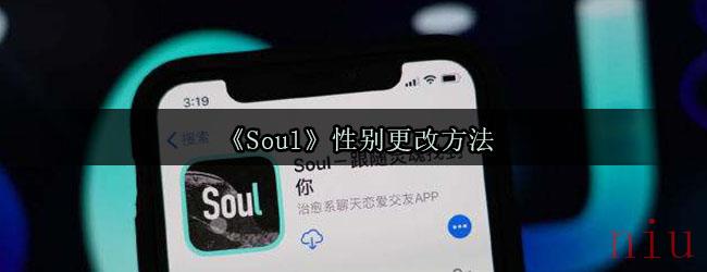 《Soul》性别更改方法