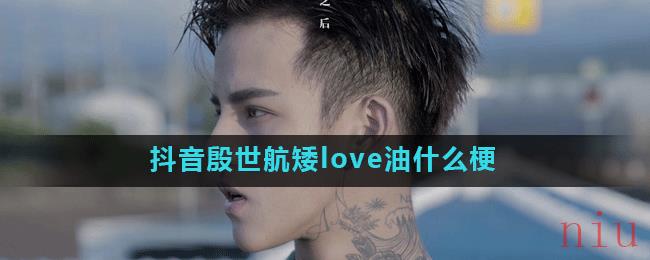 抖音殷世航矮love油什么梗