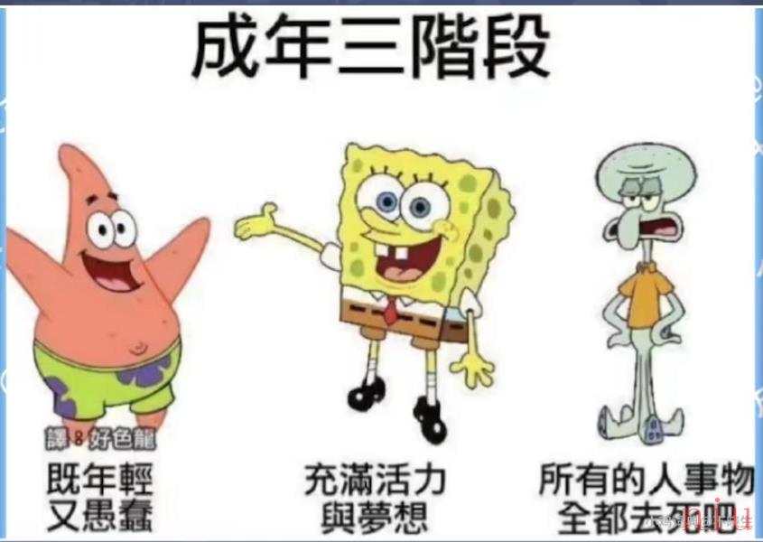 成年三阶段梗出处含义介绍