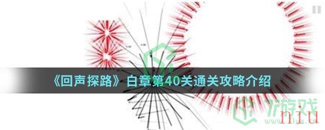 《回声探路》白章第40关通关攻略介绍