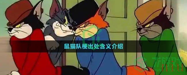 鼠猫队梗出处含义介绍