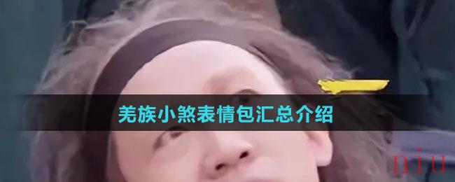 羌族小煞表情包汇总介绍