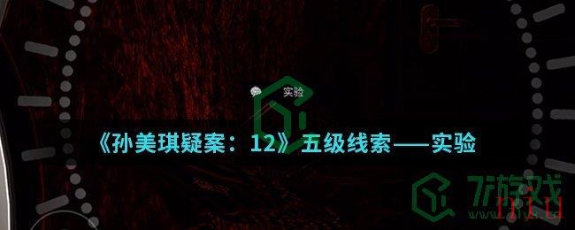 《孙美琪疑案：12》五级线索——实验