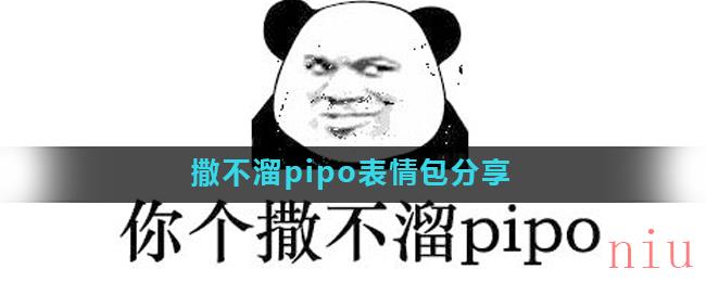 撒不溜pipo表情包分享