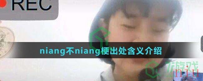 niang不niang梗出处含义介绍