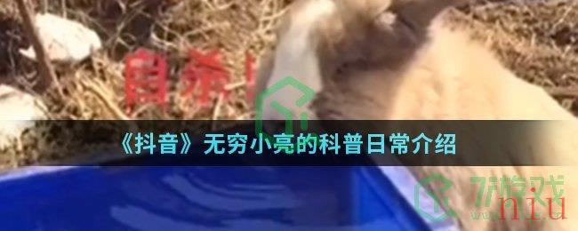 《抖音》无穷小亮的科普日常介绍