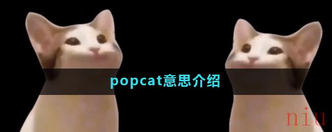 popcat意思介绍