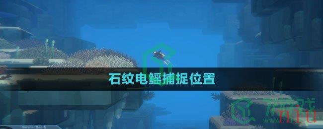 《潜水员戴夫》石纹电鳐捕捉位置