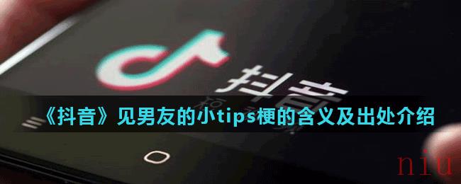 《抖音》见男友的小tips梗的含义及出处介绍