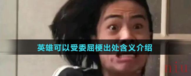 英雄可以受委屈梗出处含义介绍