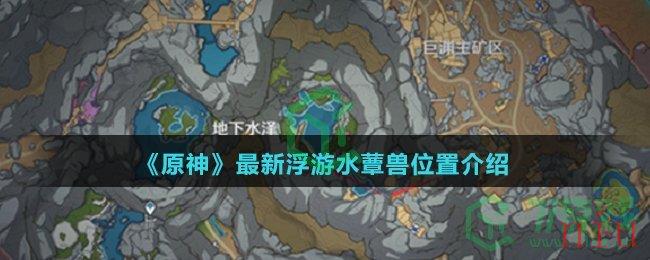 《原神》最新浮游水蕈兽位置介绍