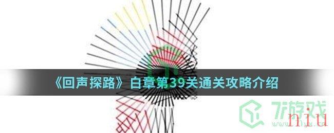 《回声探路》白章第39关通关攻略介绍