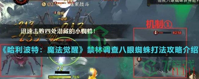 《哈利波特：魔法觉醒》禁林调查八眼蜘蛛打法攻略介绍