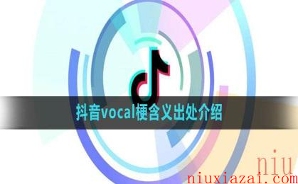 《抖音》vocal梗含义出处介绍