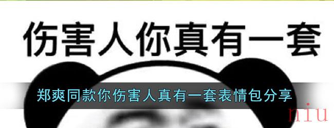 郑爽同款你伤害人真有一套表情包分享