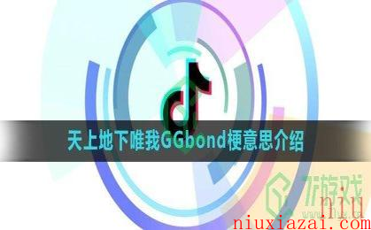 《抖音》天上地下唯我GGbond梗意思介绍