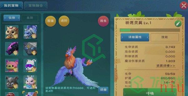 《创造与魔法》新融合战宠祈愿灵翼资质说明分享