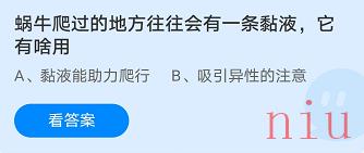 蚂蚁庄园10月23日答案最新