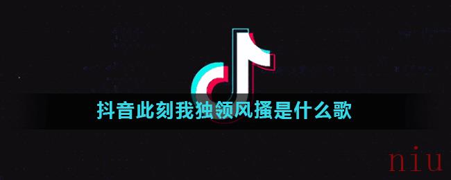 抖音此刻我独领风搔是什么歌