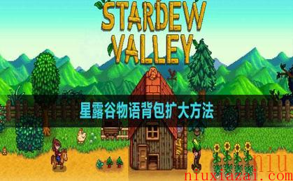 《星露谷物语》背包扩大方法