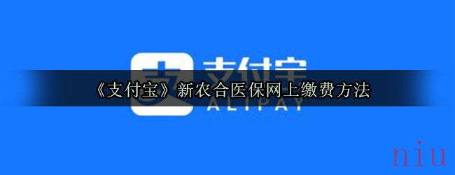 《支付宝》新农合医保网上缴费方法