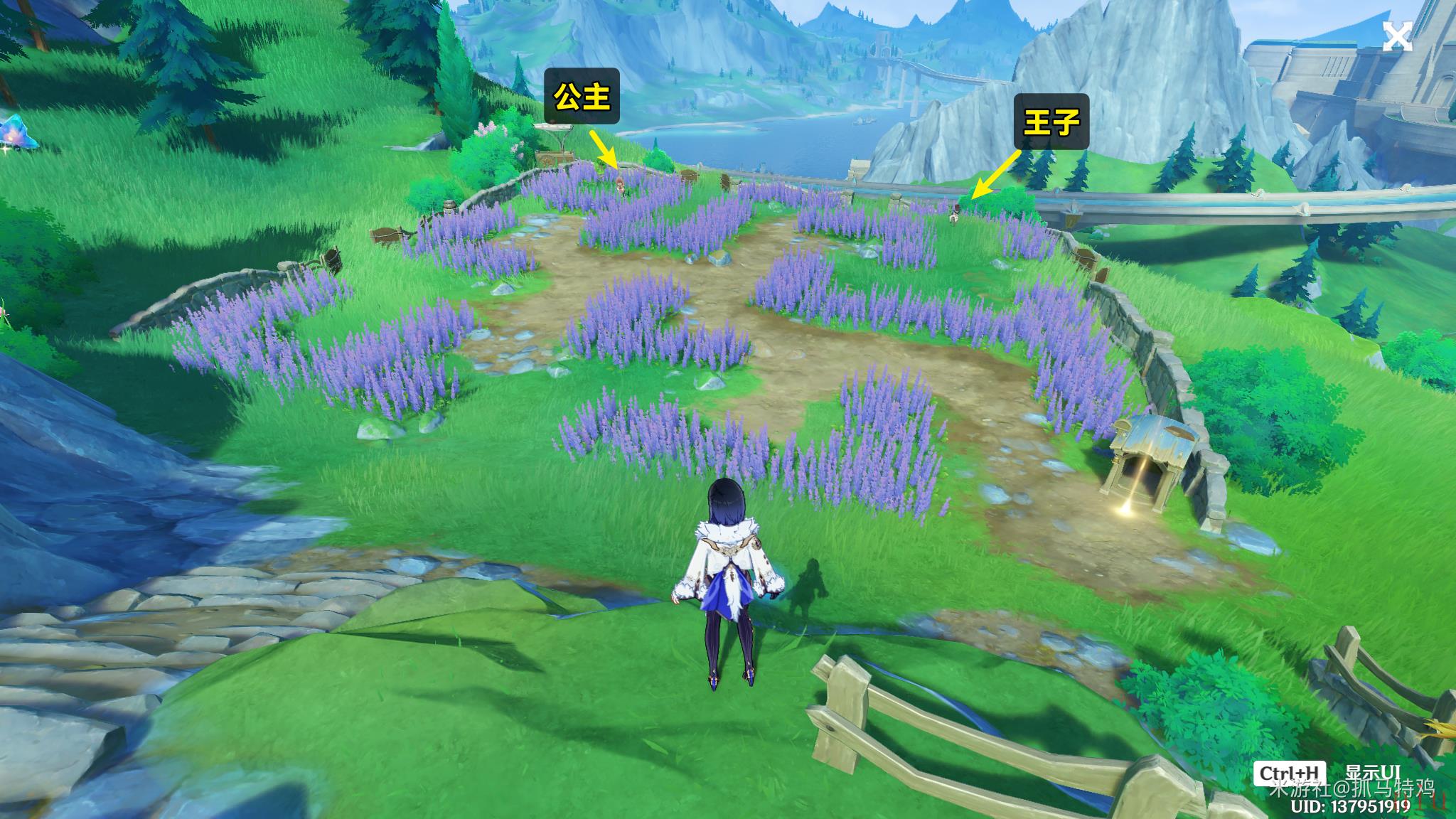 《原神》4.0在开满鲜花的草地上任务攻略