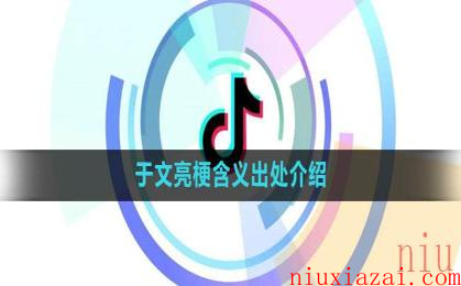 《抖音》于文亮梗含义出处介绍