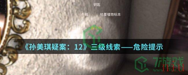 《孙美琪疑案：12》三级线索——危险提示